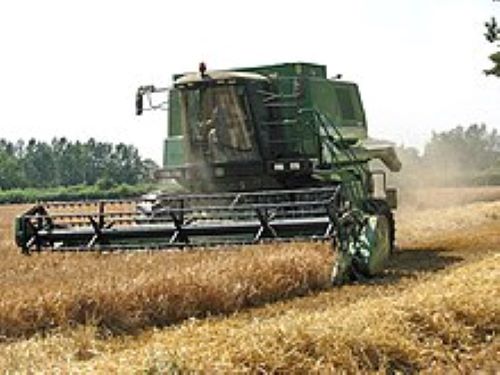 Landwirtschaft