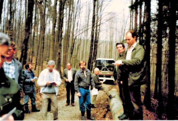 Holzsteigerung