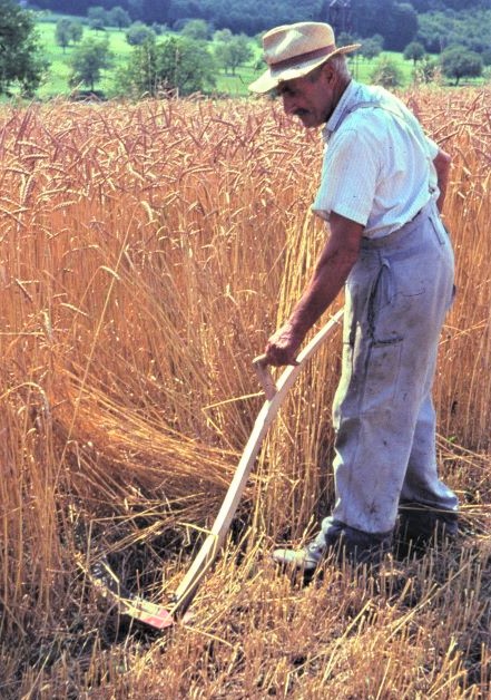 Landwirtschaft