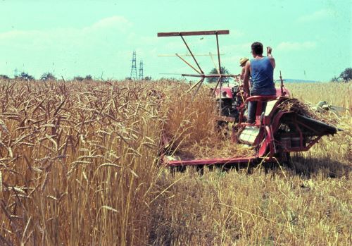 Landwirtschaft