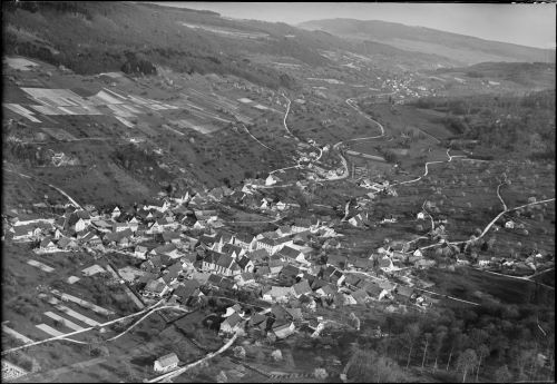 Rebbau