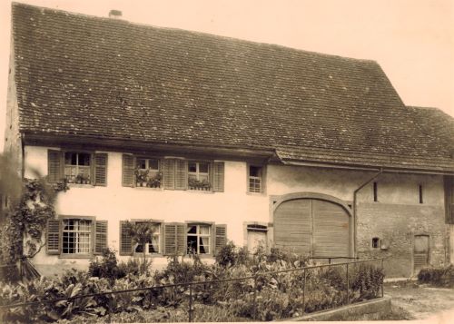 Erste Bauordnung