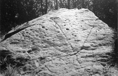 Schalenstein 07