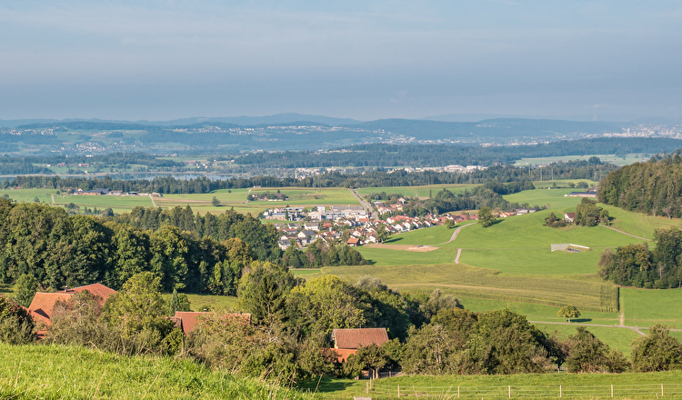 Projekte in Hittnau