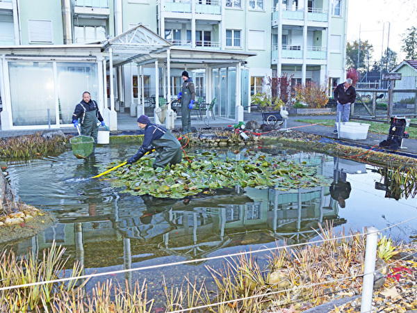 Fische werden abgefischt, 2021