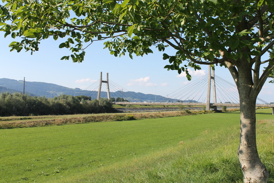 Schrägseilbrücke