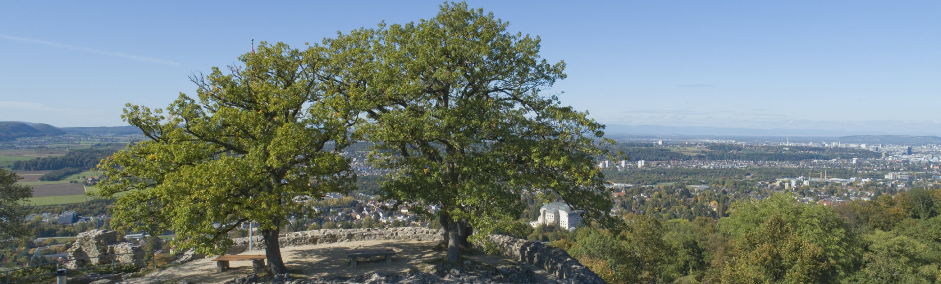 Das Bild zeigt zwei Bäume auf der Ruine Dorneck