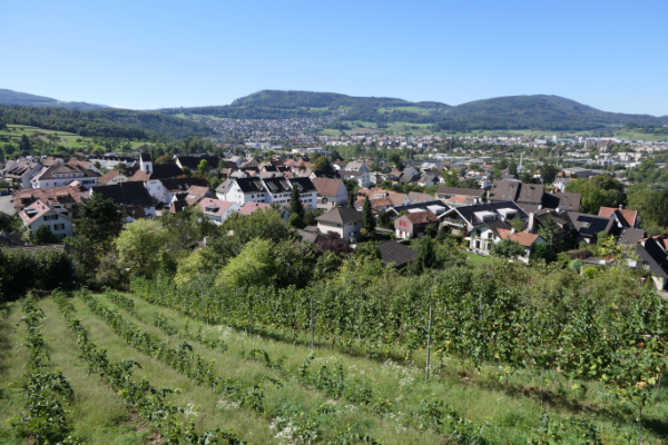 Bild von Dornach