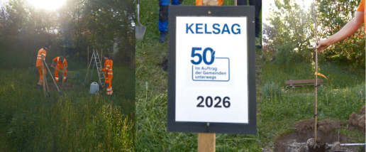 Pflanzen von Bäumen zum 50 Jahre Jubiläum von Kelsag