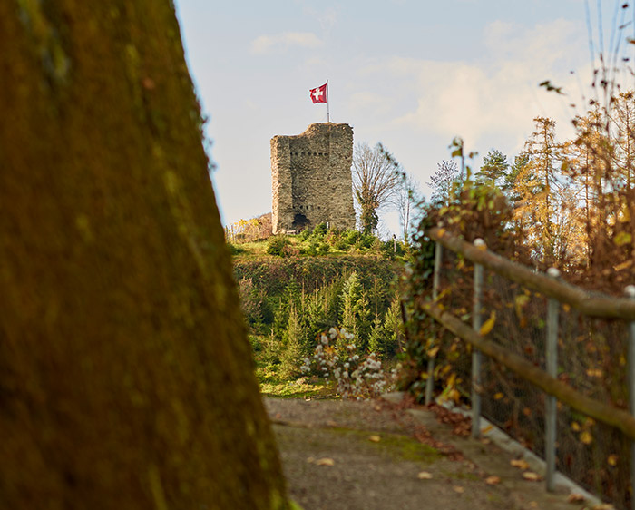 Rheineck Natur Wandern