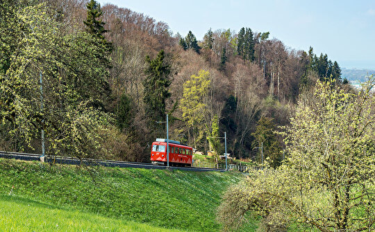 Walzenhauserbehnli