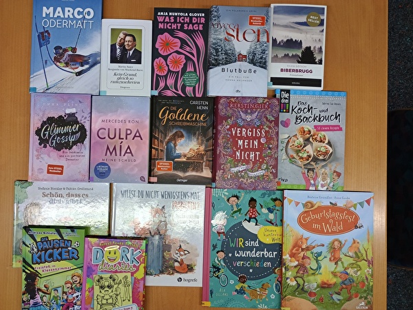 Foto viele verschiedene Bücher