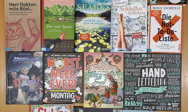 Foto viele verschiedene Bücher