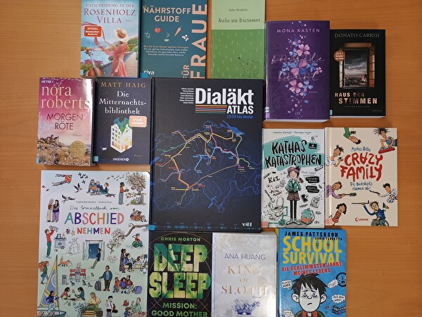 Foto viele verschiedene Bücher