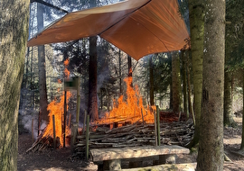 Bild Grillstelle brennt im Wald (Waldbrand)