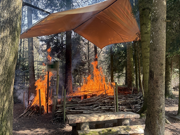 Bild Grillstelle brennt im Wald (Waldbrand)