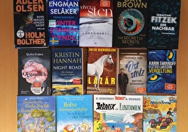 Foto viele verschiedene Bücher