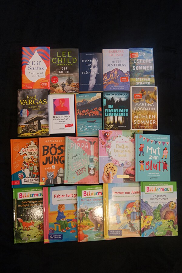Foto viele verschiedene Bücher