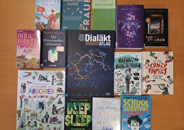 Foto viele verschiedene Bücher