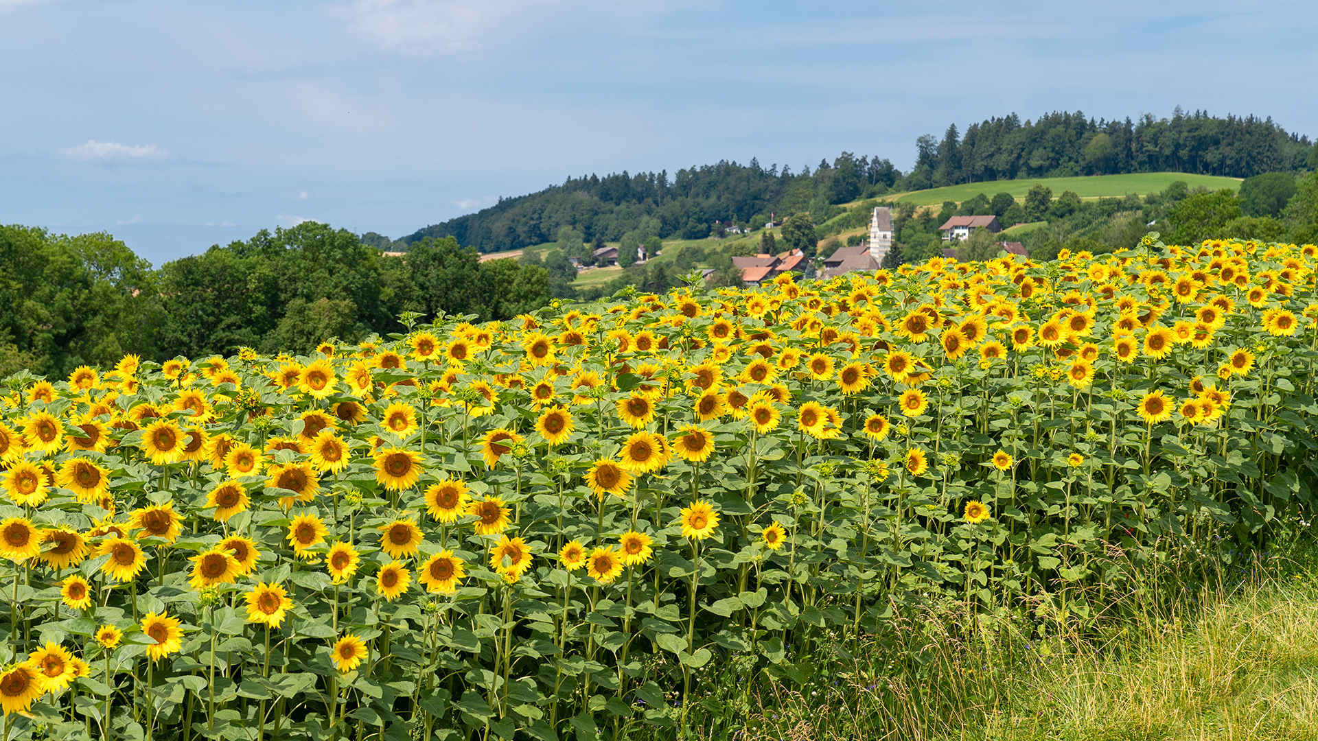 Rubrikbild Slider 6