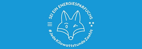 Logo Energiesparfuchs