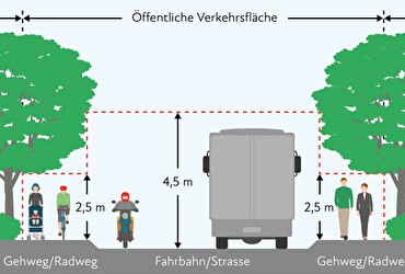 Grafik Hecken schneiden