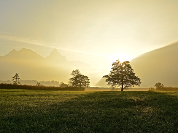 Herbst-Impressionen