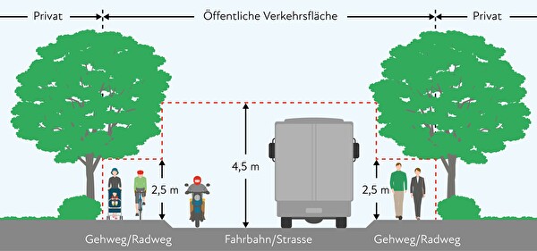 Grafik Hecken schneiden