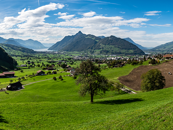 Frühlingsbild
