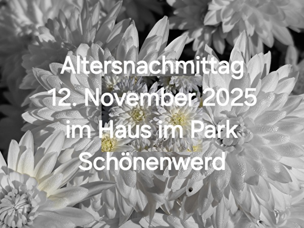 Bild mit Blumen und Text Seniorennachmittag 12. November 2025 im Haus im Park Schönenwerd