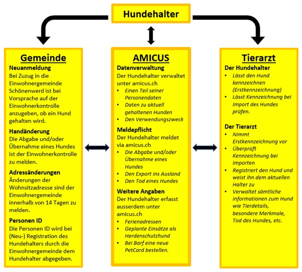 Amicus