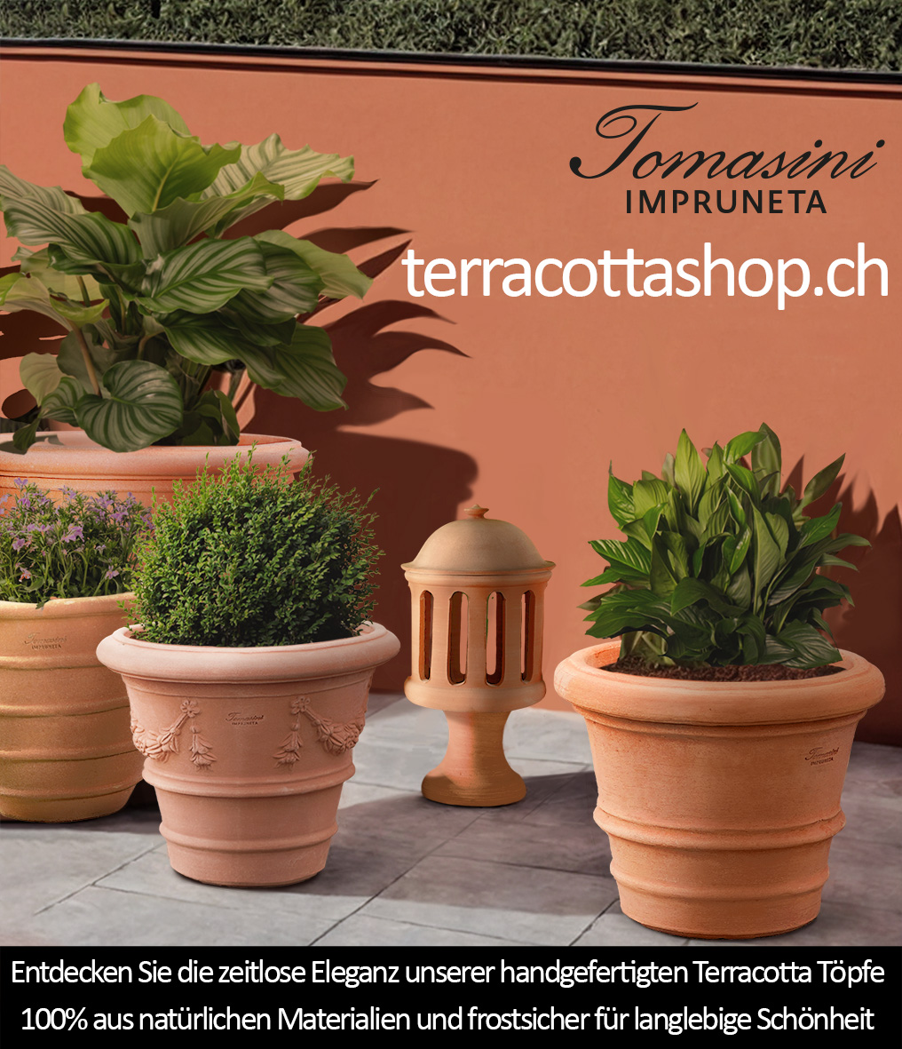 Terracotta