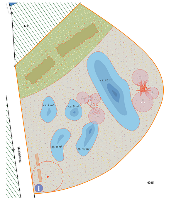 Planausschnitt Amphibienprojekt Hüsliriet