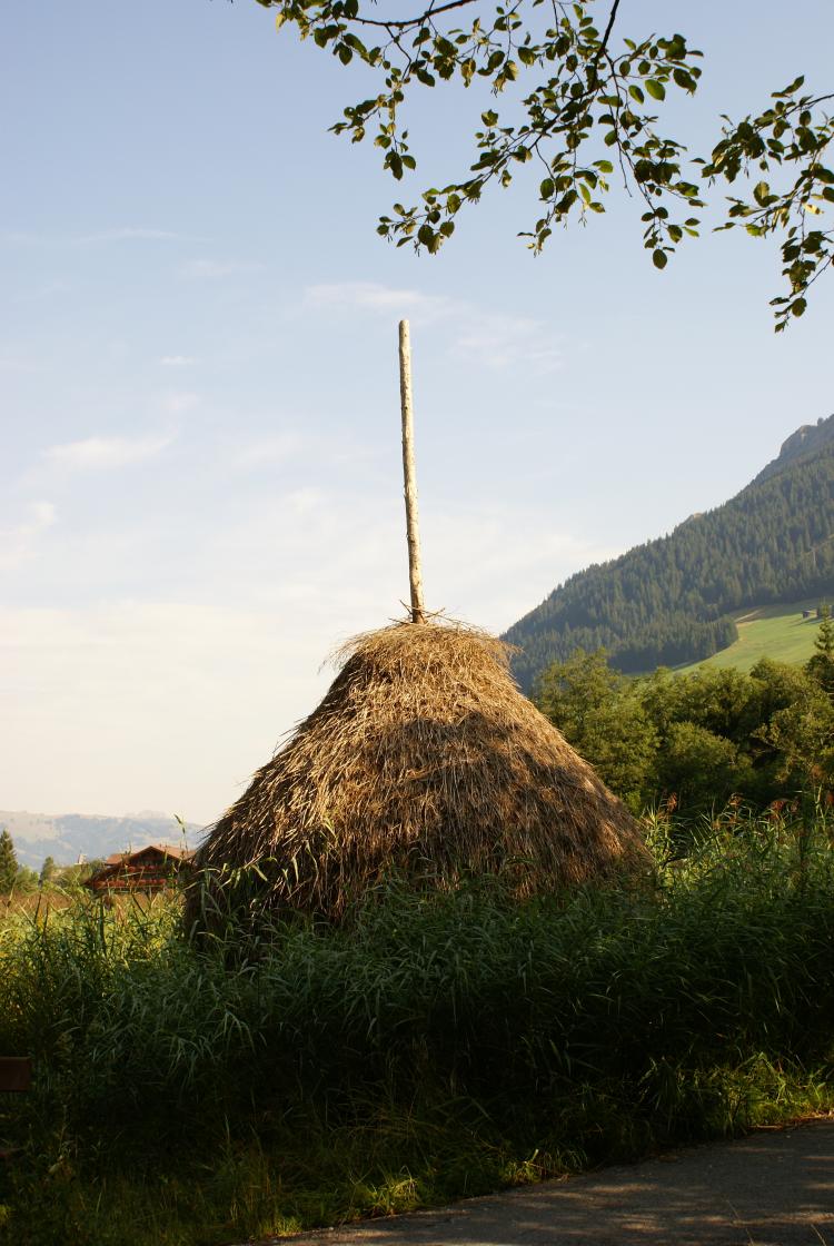 Triste im Rohr