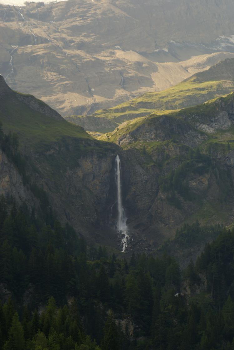Geltenschuss