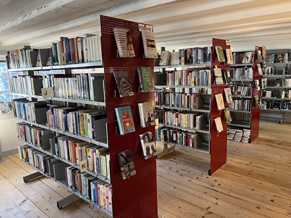 Das Bild zeigt Büchergestelle aus der Bibliothek