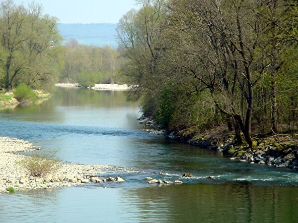 Aare