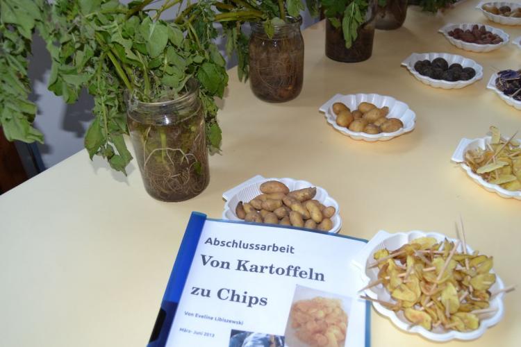 Projektarbeit:
"verschiedene Kartoffeln anpflanzen und zu Chips verarbeiten" von Eveline