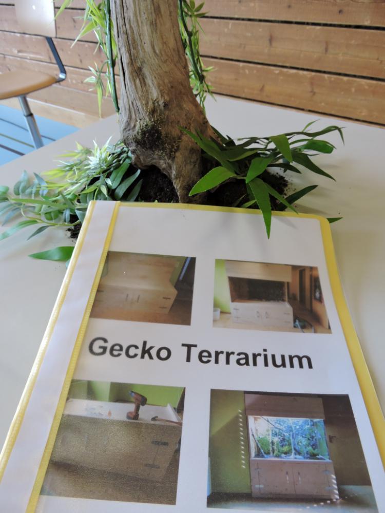 Geko-Gehege von Lukas Vetterli