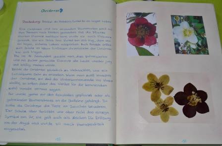 Projektarbeit:
"Buch über die verschiedenen Bedeutungen der Blumen" von Lara