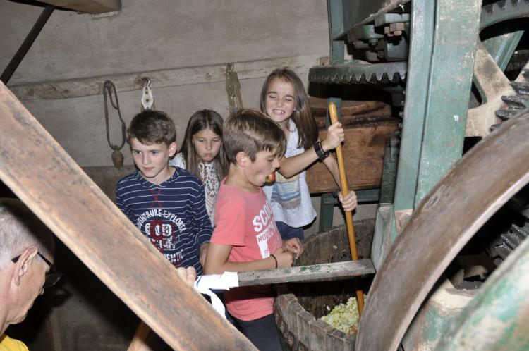 Mostete 2016