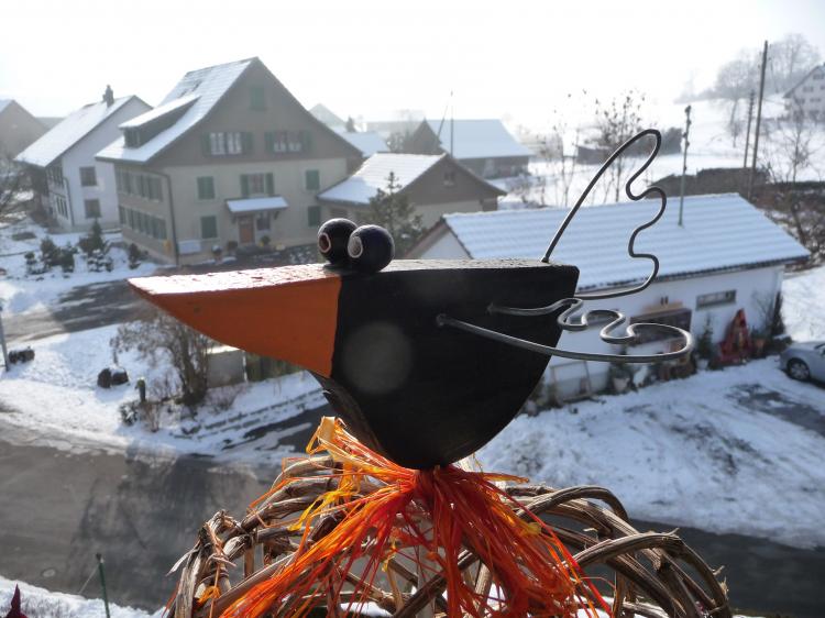 Kursprogramm 2015:
Kurs Nr. 5
Va-Ki-Kurs Holz-Krähen
Datum: 9.5.2015 von 09:00 - 11:55 Uhr