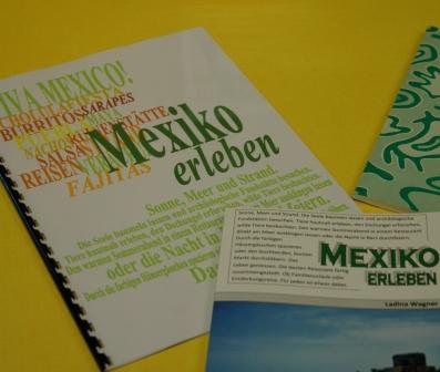 Projektarbeit: Mexico erleben von Ladina