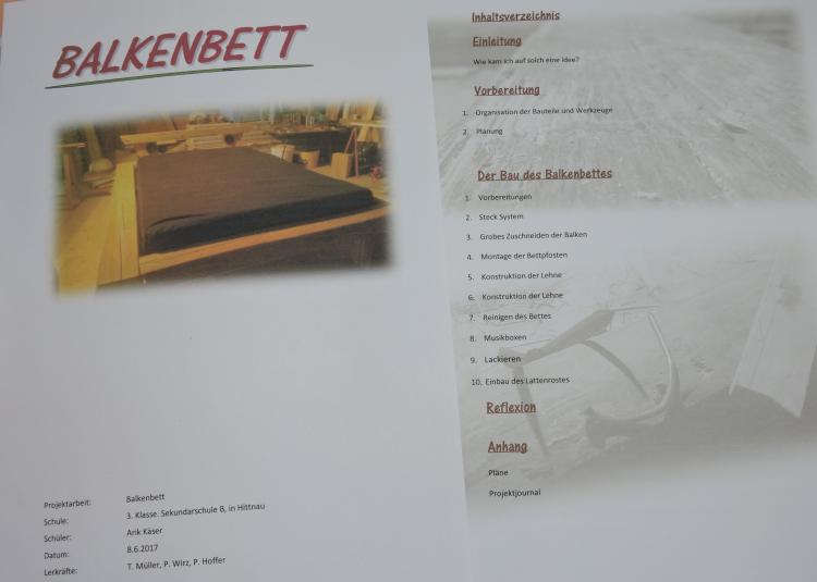 Projektarbeiten 2017
3. Sek