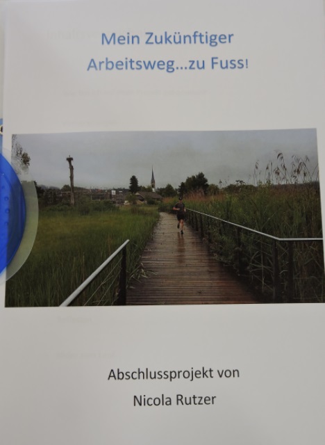 Projektarbeiten 2017
3. Sek