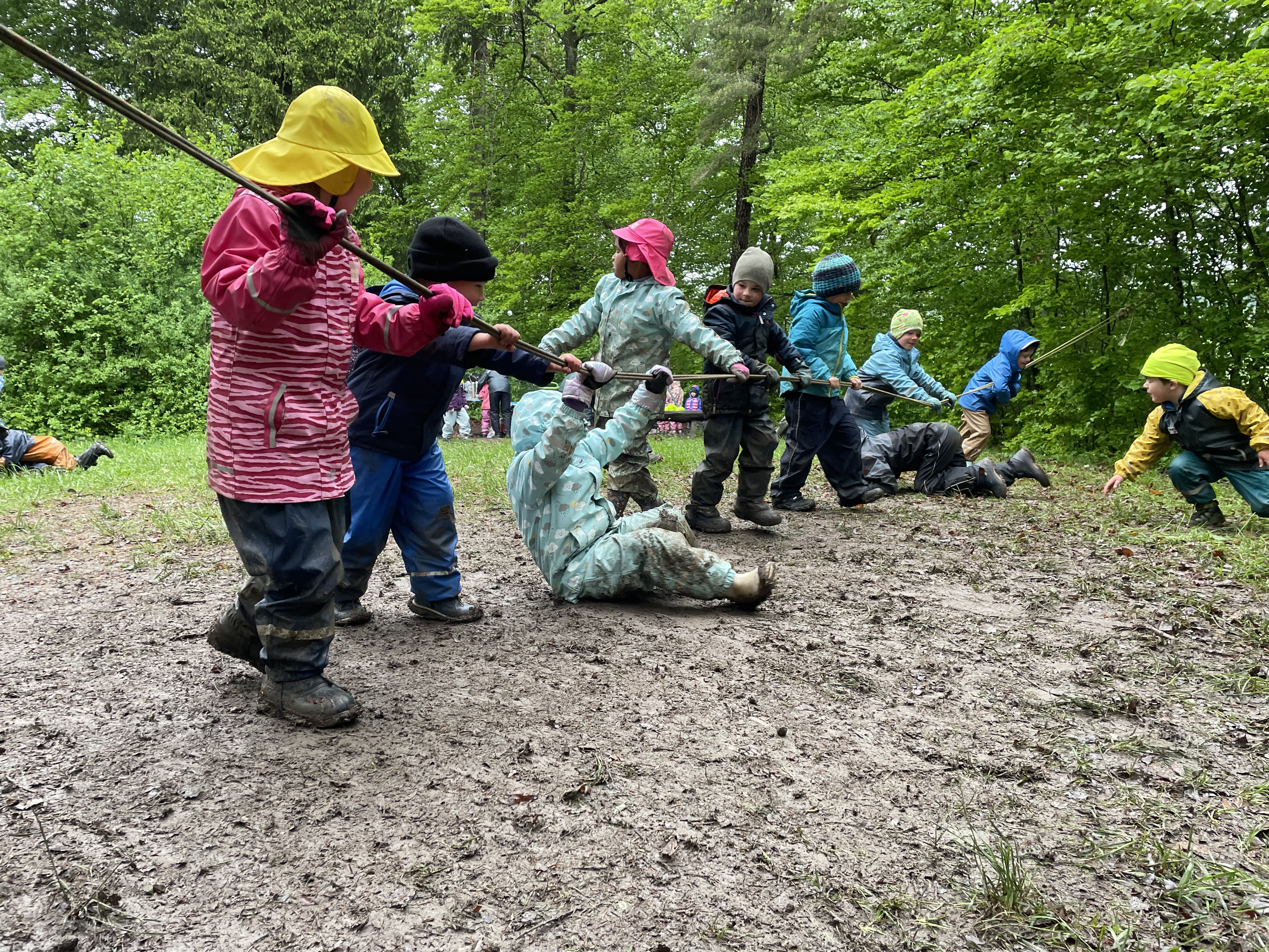 Kindergartenkinder im Wald