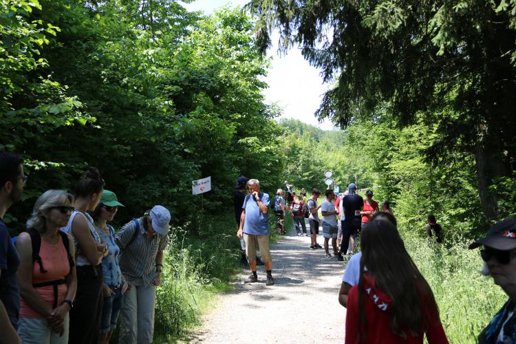 Töss-Stafette 2019