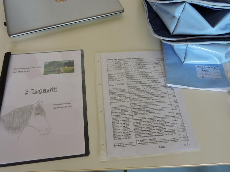 Projektarbeiten 2018 3. Sek