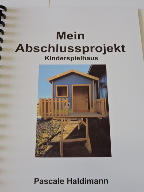 Projektarbeiten 2017
3. Sek