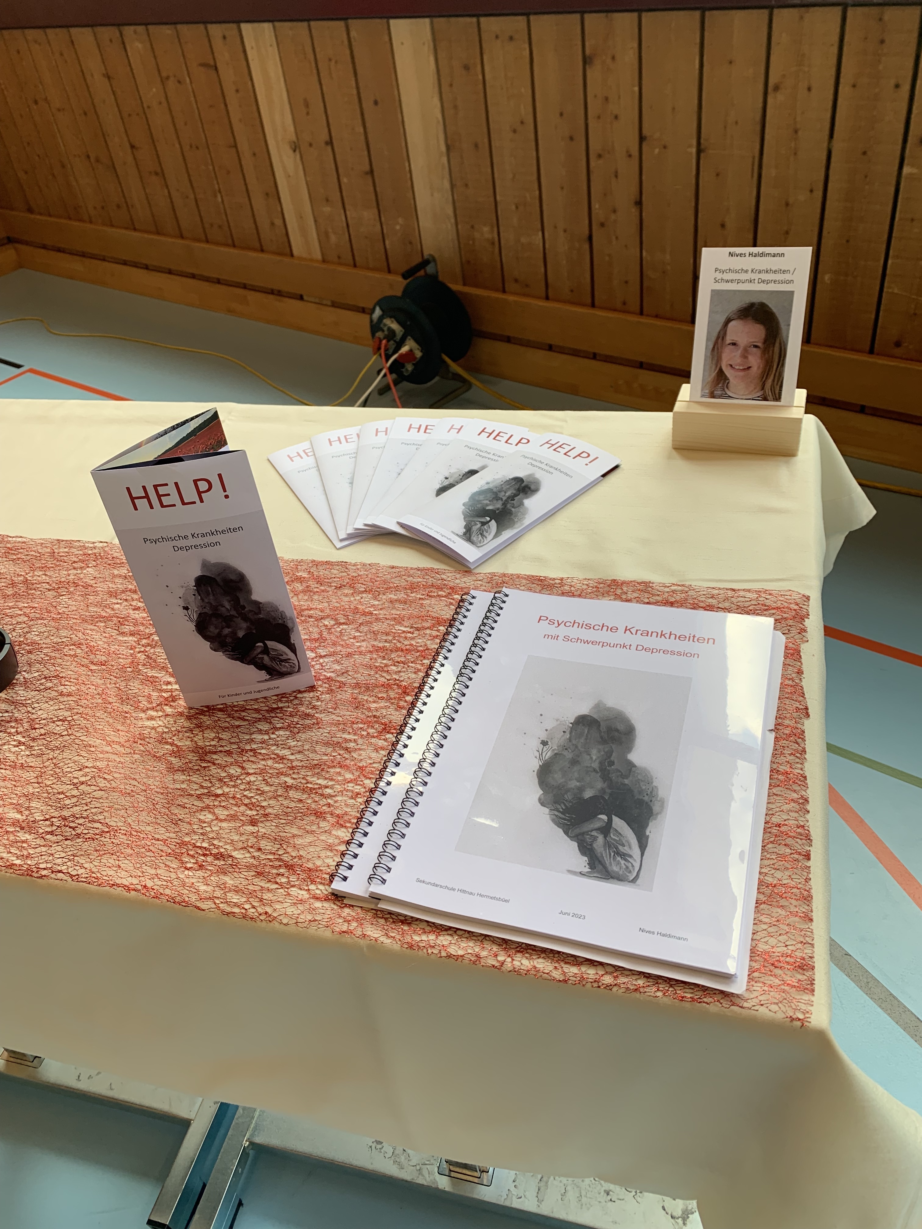 Projektarbeiten 3. Sek 2023